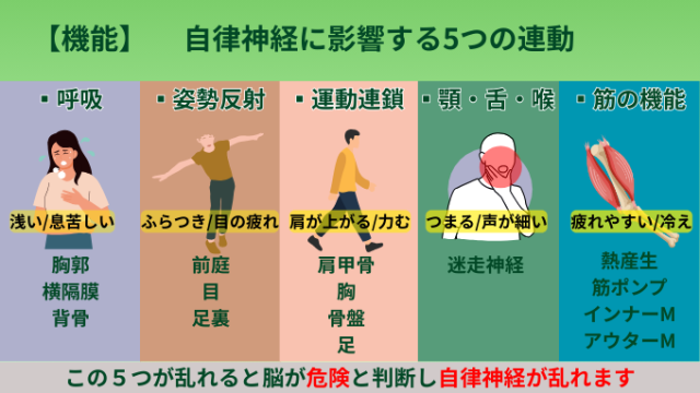 不眠に影響する５つの連動