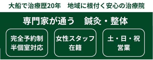 専門家が通う　鍼灸・整体