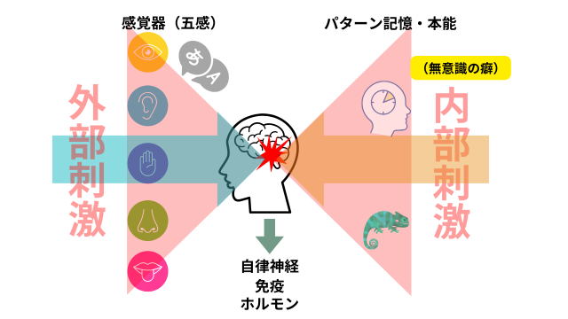 自律神経を整える事が出来る治療家はわずかです