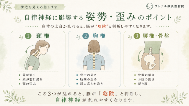 自律神経に影響する姿勢・歪みのポイント