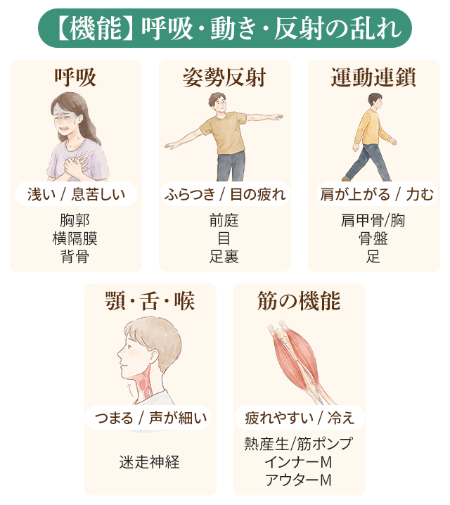 【機能】呼吸・動き・反射の乱れ